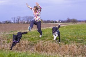 Best breeds for an active lifestyle NewDoggy.com